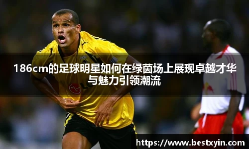 186cm的足球明星如何在绿茵场上展现卓越才华与魅力引领潮流